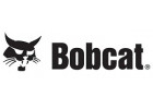 Bobcat